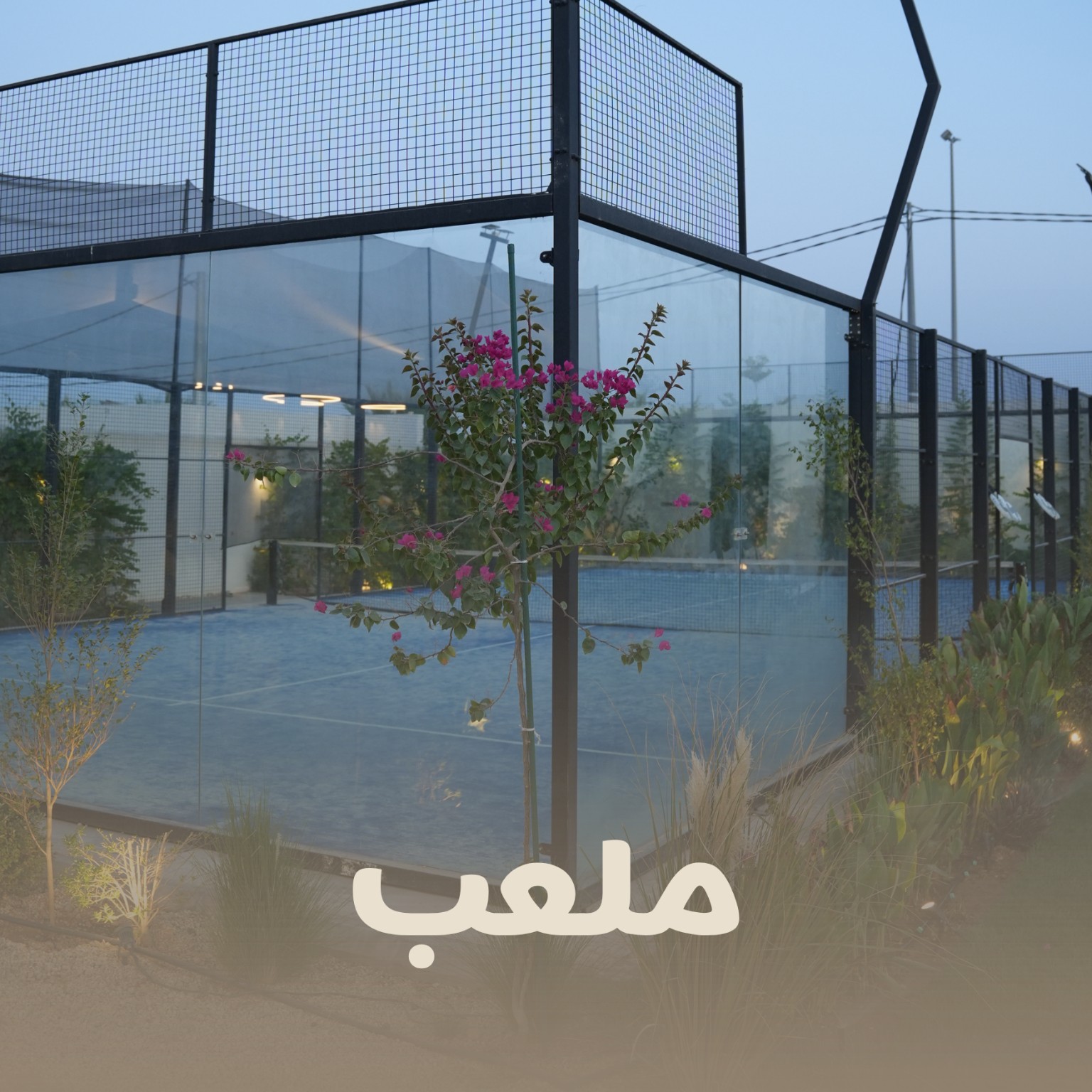 ملعب البادل في منتجع ألبا